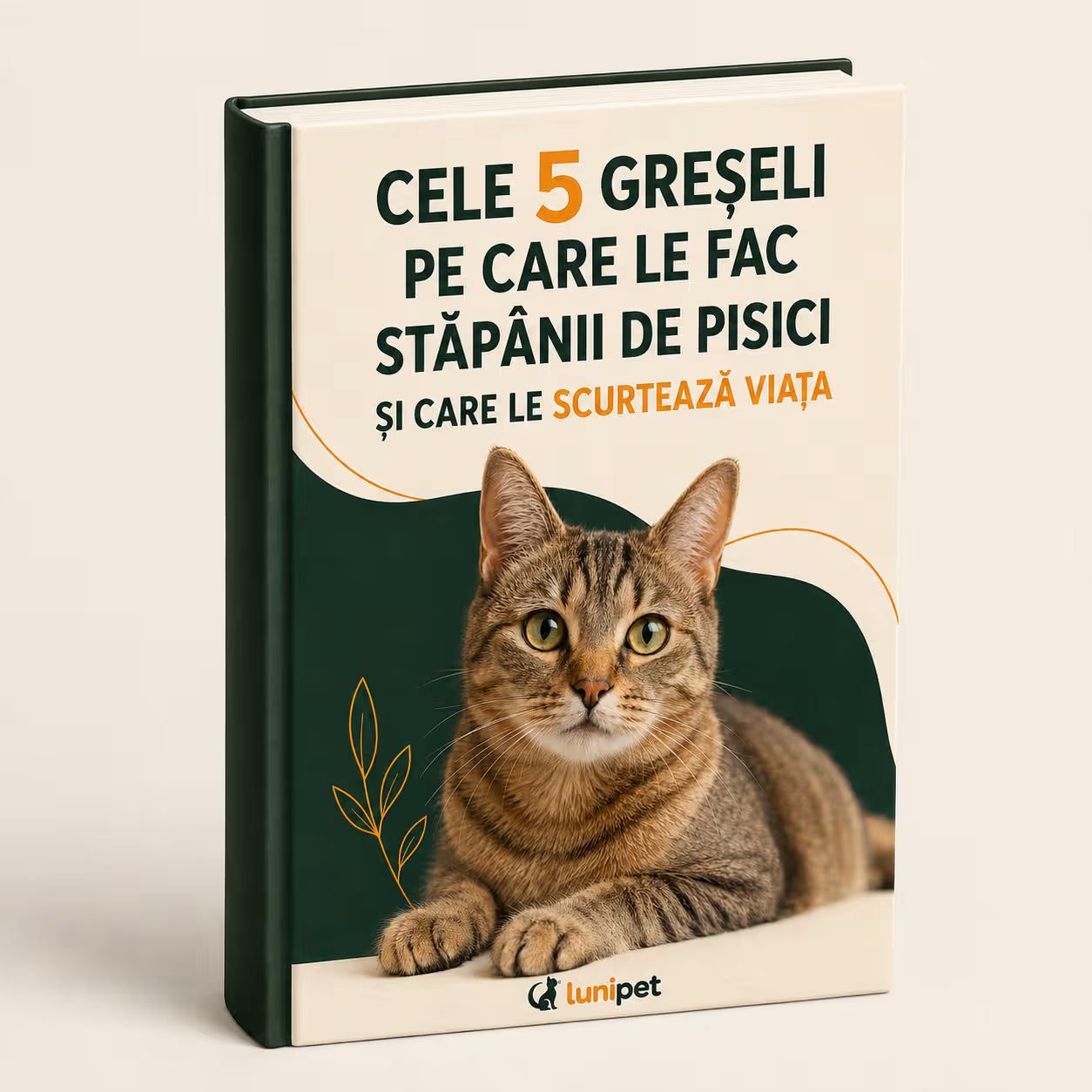 E-book: Cele 5 greșeli pe care le fac stăpânii de pisici și care le scurtează viața